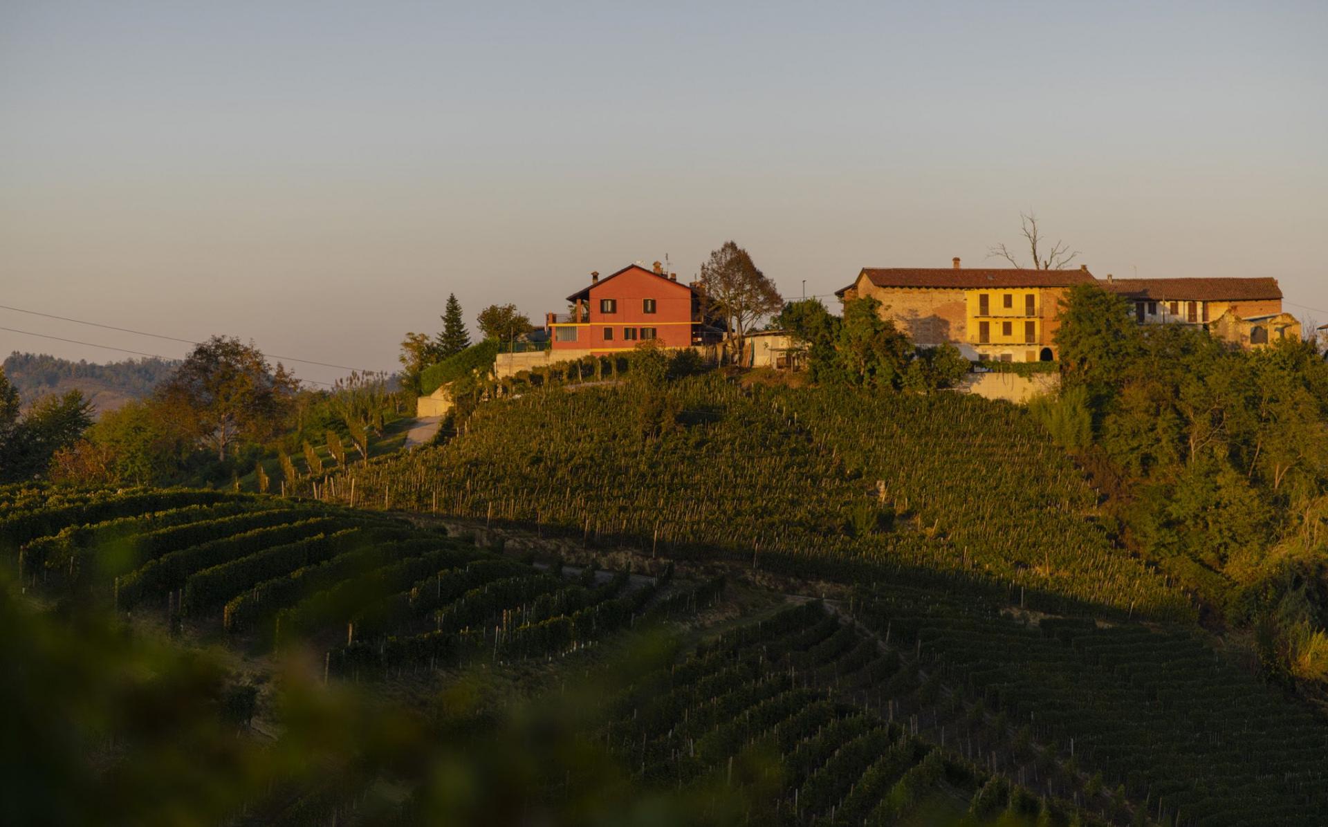 Visita Cantine Oggero Fisar Torino